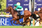 ZARIGANA - Aga Khan Studs